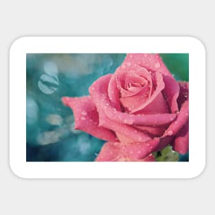 New Year's Rose Sticker